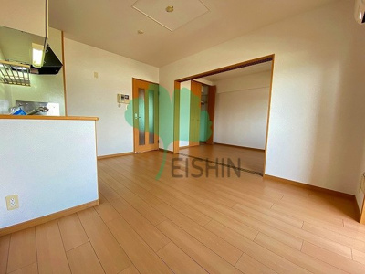  | スカイウィング