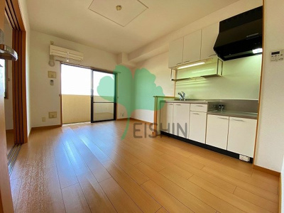  | スカイウィング