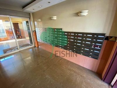  | スカイウィング