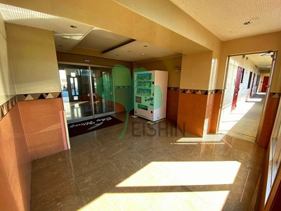  | スカイウィング