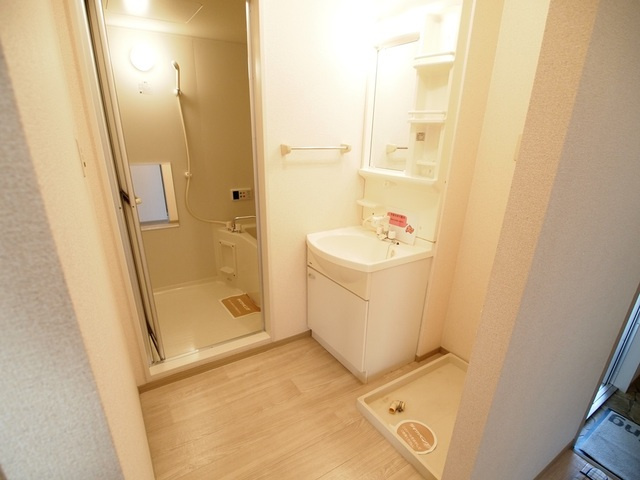 メゾンラフィーネＡの洗面所