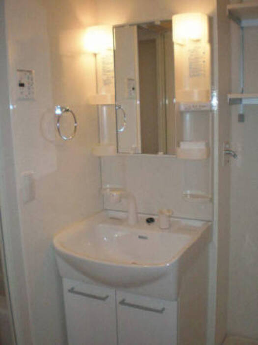 メゾン・グレイス　B棟の洗面所