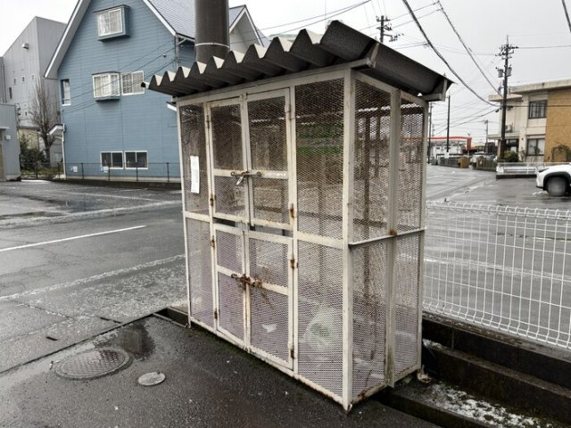 セレステ・オーリ