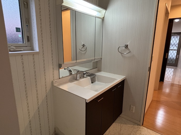 大溝T貸家の洗面所