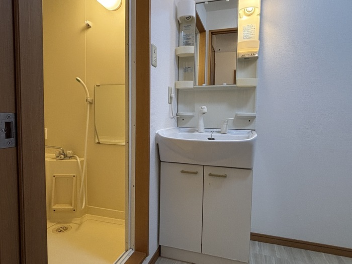 フローラＳＡＴＩの洗面所