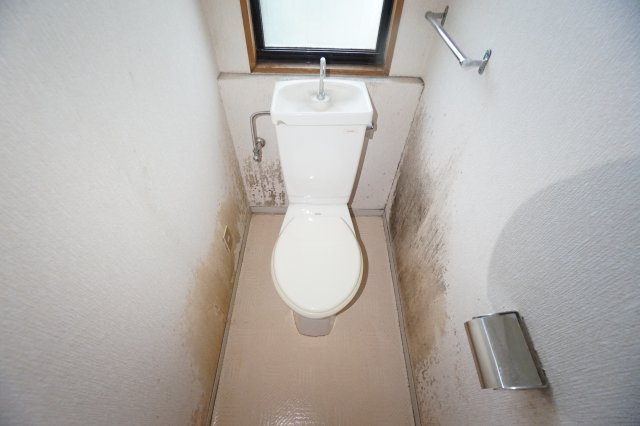 豊岡タウンハウス　D棟のトイレ