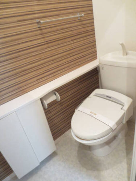 メゾン定正　Aのトイレ