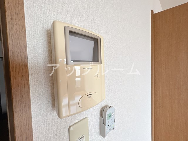 アムールラフレシアのセキュリティ