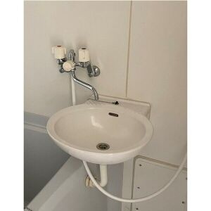 アムールラフレシアの洗面所