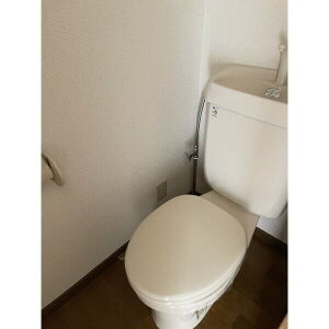 アムールラフレシアのトイレ