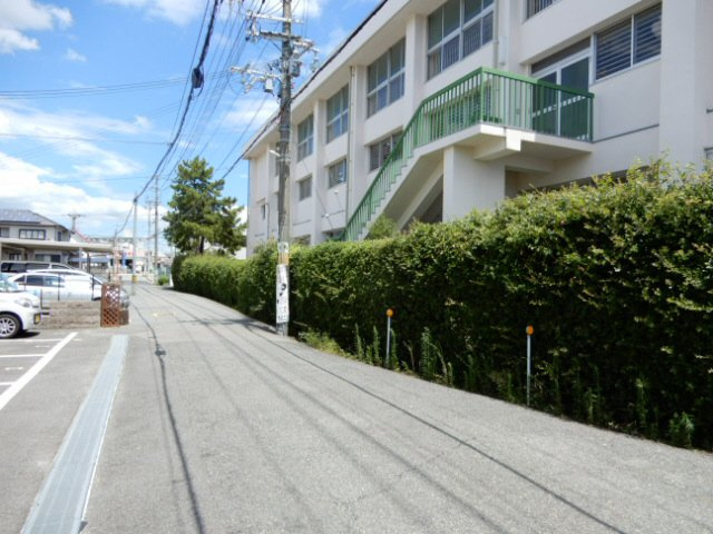 グランスターチスの展望