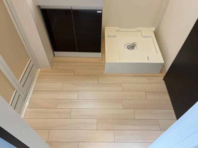 ルヴニール祇園平原Ｐ＆ＴⅢのその他|脱衣所