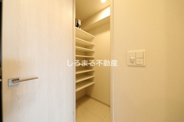 ブランズ北堀江プレイスの収納