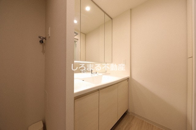 ブランズ北堀江プレイスの洗面所