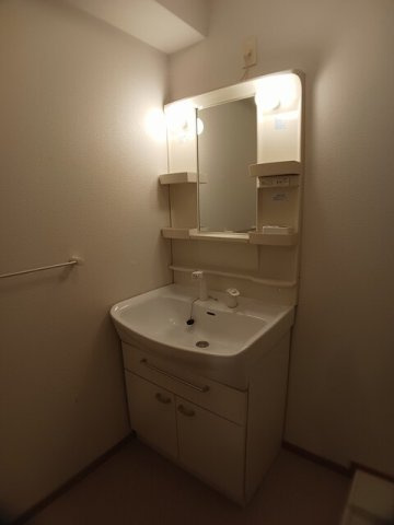 メゾン・デュ・ソレイユⅢの洗面所