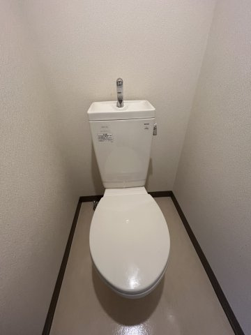 ラ・グランリヴィエールのトイレ