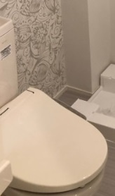 ハーモニーテラス梅田のトイレ