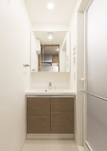 DIPS赤羽北EASTの独立洗面台|独立洗面化粧台付き