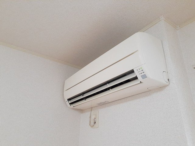 セレノのその他