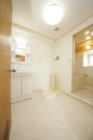 ホワイトシティ東新の洗面所