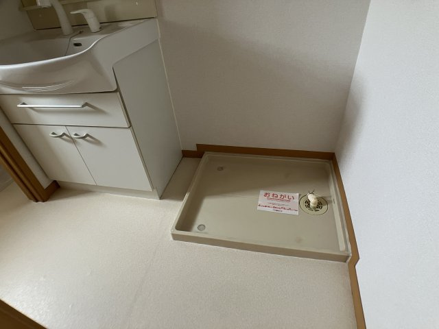 グランデカメリア山の手Ⅰの洗面所