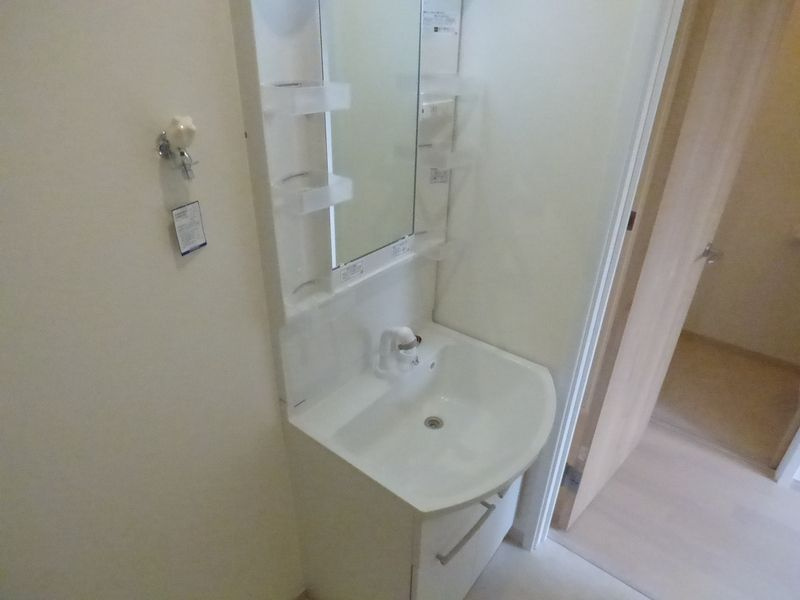 Town House Ⅷの洗面所