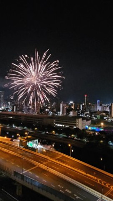 【展望】 | グランドパレス大手町公園（A-9）