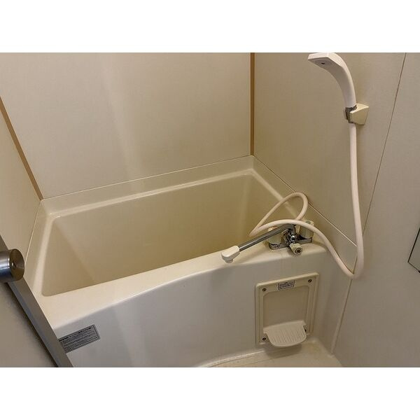 SURPLUSニワコーポの浴室