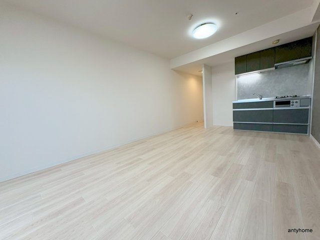 南堀江アパートメントシエロ　仲介手数料無料の居間・リビング