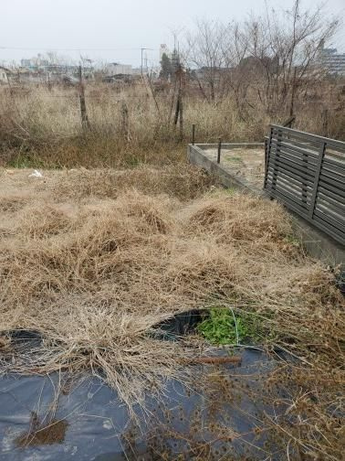 うきは市吉井町千年　売り土地の外観