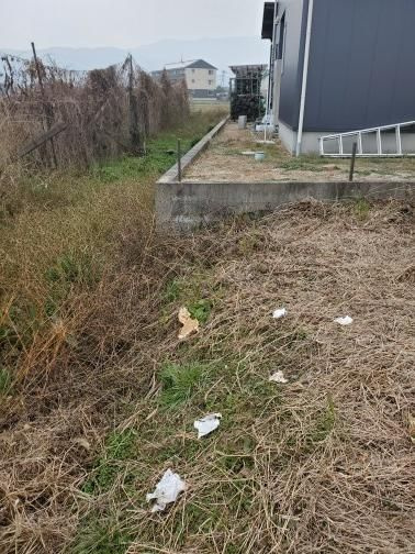 うきは市吉井町千年　売り土地の外観