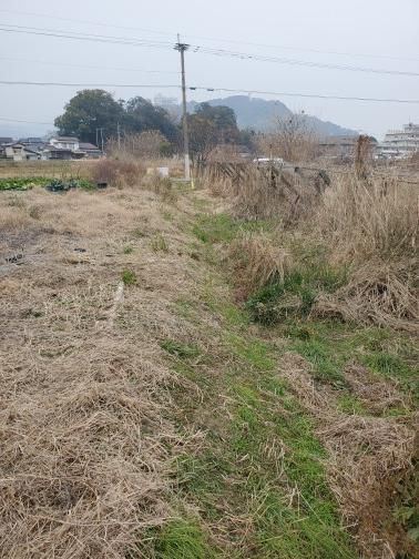 うきは市吉井町千年　売り土地の外観