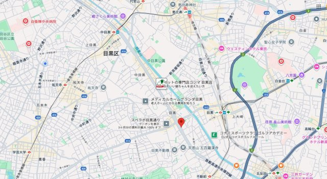 【地図】 | ★仲介手数料無料★グランドメゾン目黒プレイス（中目黒、代官山、恵比寿、白金台といった人気エリアを生活圏に収めるロケーション）