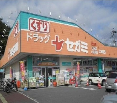 グリーンピア中西Ａの周辺|セガミ　大町店まで700m