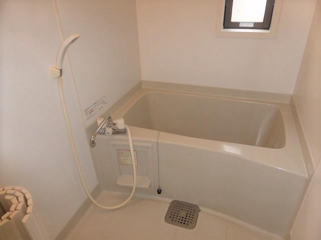 グリーンビュー中須　Ｂの浴室|お風呂です