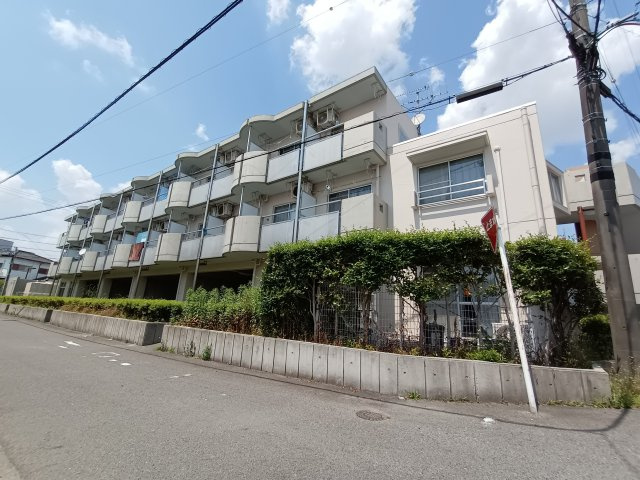 アルフエイムの展望