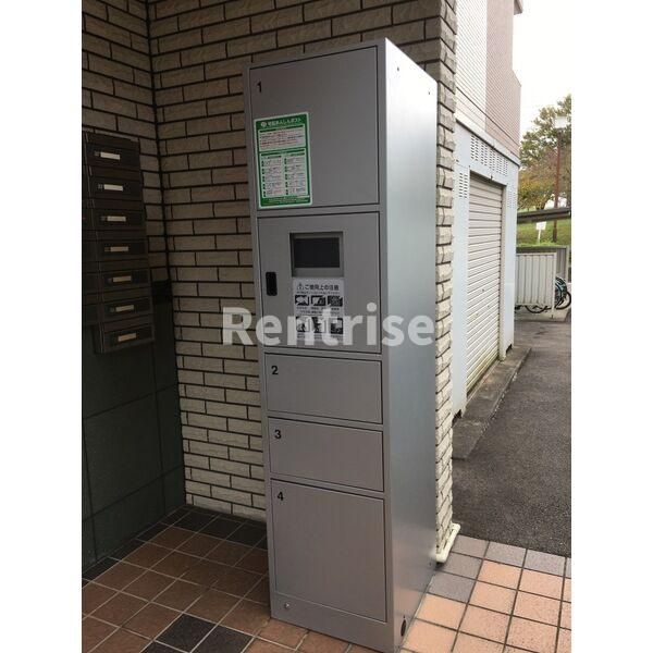 エーデルワイスのその他