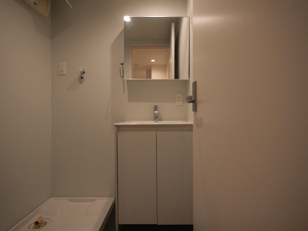 大阪市東成区東今里３丁目のハイツの洗面所