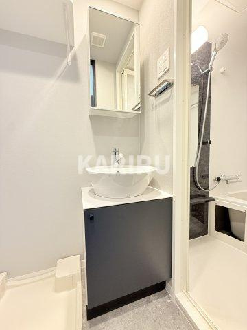 エスリードレジデンス ザ・グラン大阪福島クラスの洗面所