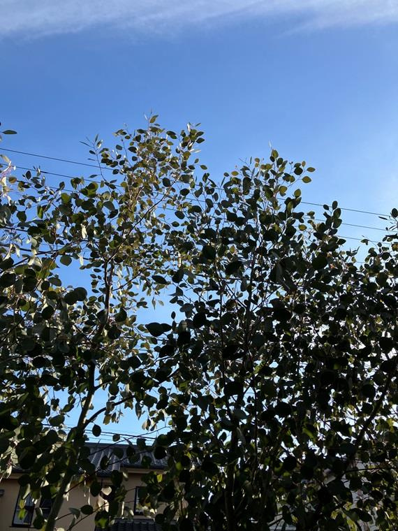 宮松町戸建の展望