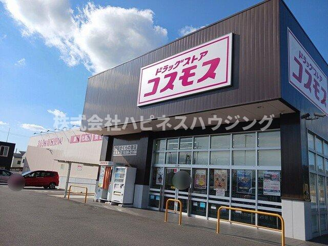 グラン　ポルトⅡの周辺|ドラッグストア　コスモス桜の里まで700m