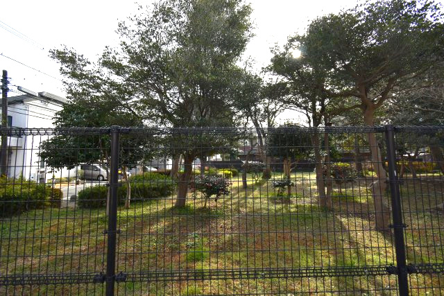 堀ノ内2丁目・売地の展望|南側の和田堀公園です。