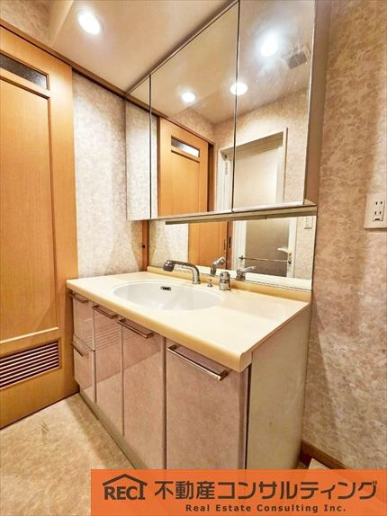 サンシャイン王子公園の独立洗面台