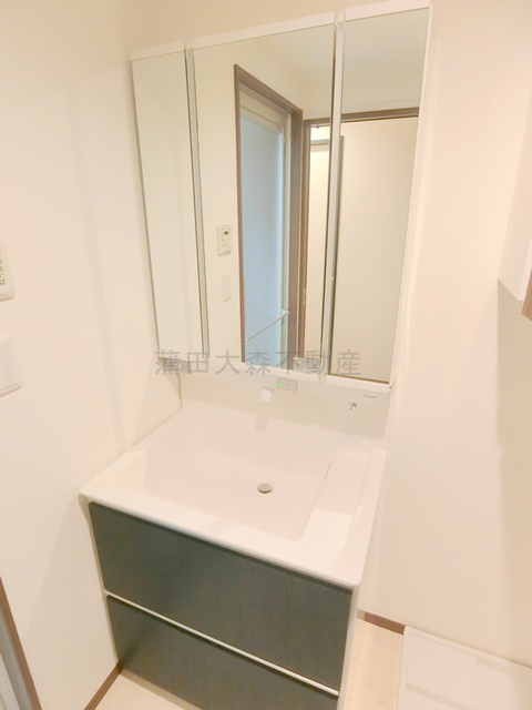 西蒲田スカイハイツの洗面所|収納付き三面鏡洗面台