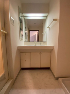 【洗面所】 | メゾンドール錦糸町ツイン