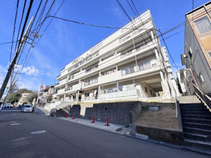 田園ハイツ藤が丘の画像