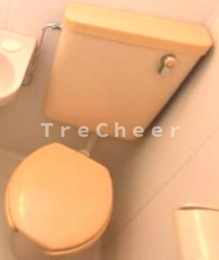 フラワーマンションのトイレ