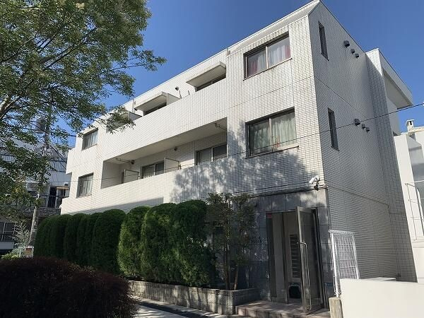 コスモスマーサ