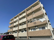 ユーミーなでしこⅡの画像