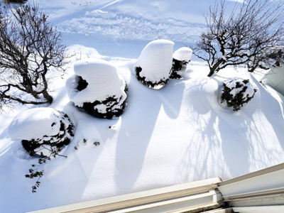 【庭】 | 手稲区星置1-8 南東角地一戸建 | ２階から見たお庭の写真♪